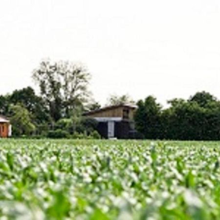 شقة Demeterhof Duenninger Hofheim in Unterfranken المظهر الخارجي الصورة